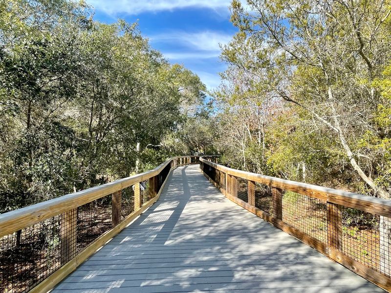 Easy Walking Trails For All Fitness Levels