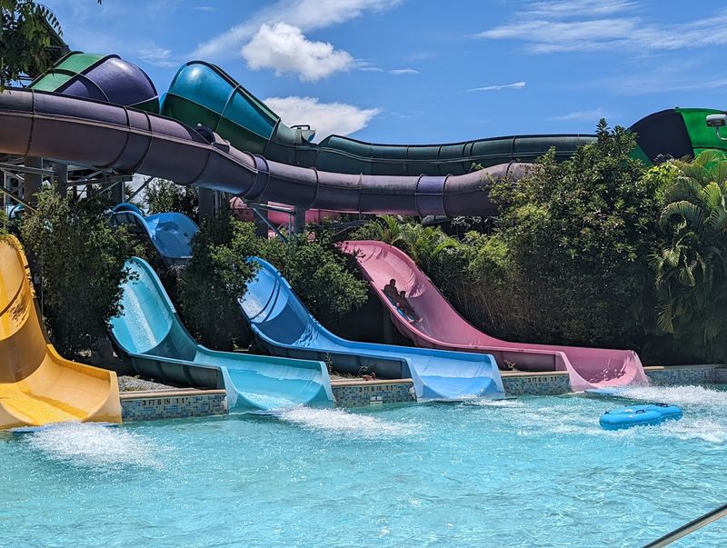 You Can Slide Through A Dolphin Habitat At This Top Outdoor Water Park In Orlando