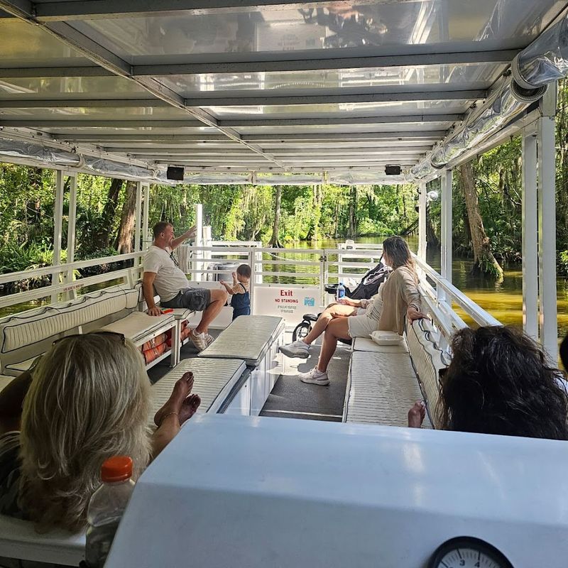 Comfortable Boats Designed for Perfect Views