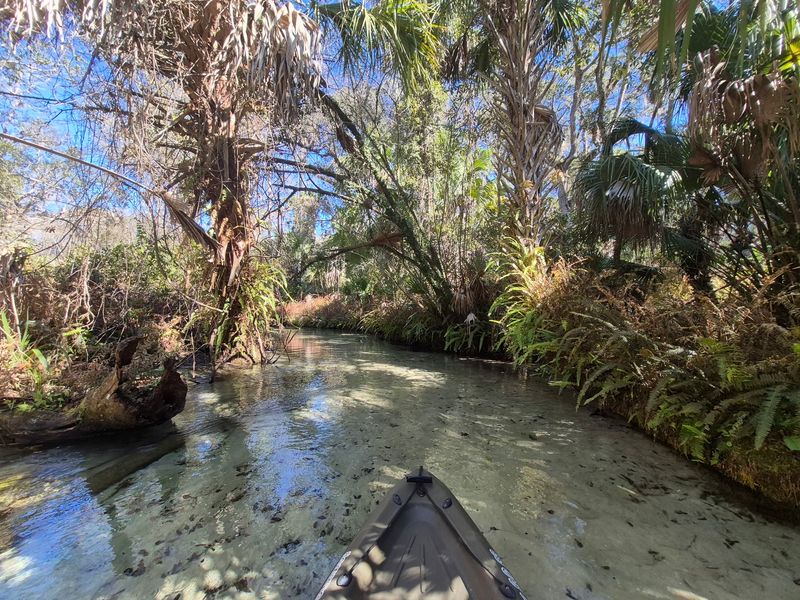 The Challenging Seven-Mile Kayak Run