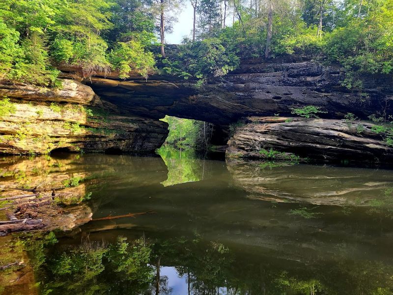 Visit the Natural Bridge at Pickett CCC Memorial State Park — Jamestown