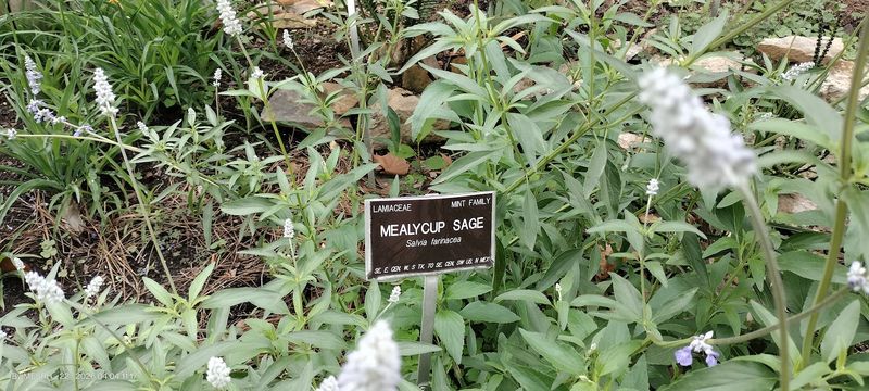 Educational Plant Labels Turn Visits Into Learning Opportunities