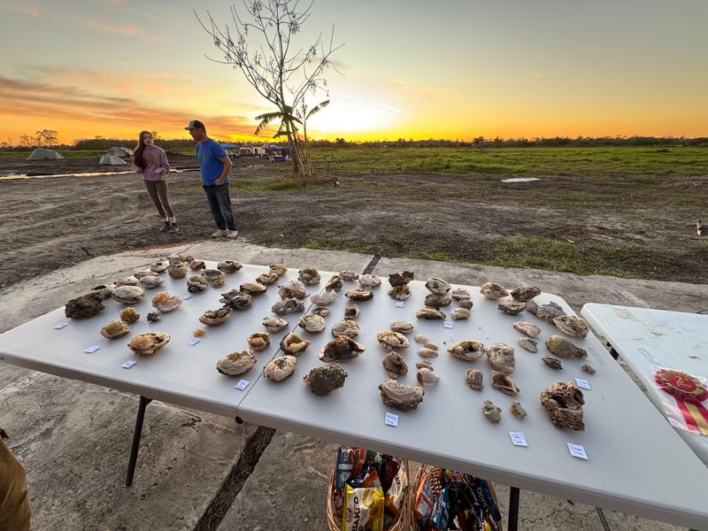 Costs, Events, and Booking Basics