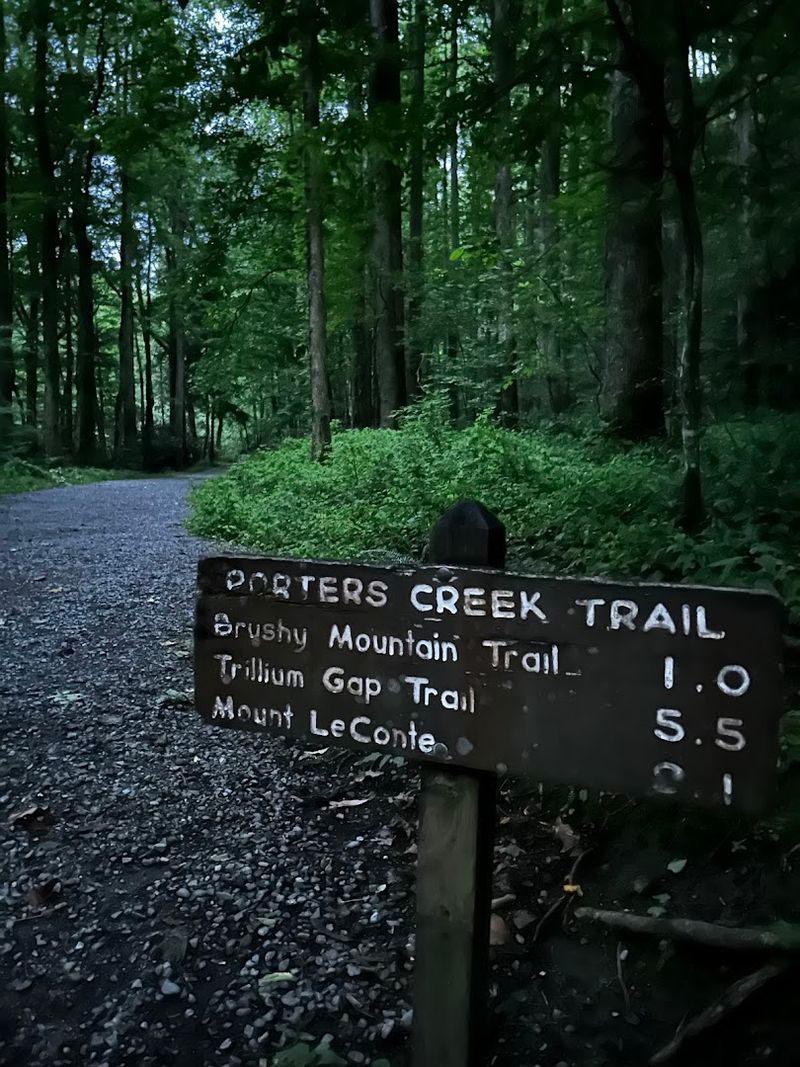 Where Porters Creek Trail Is Located and How to Get There