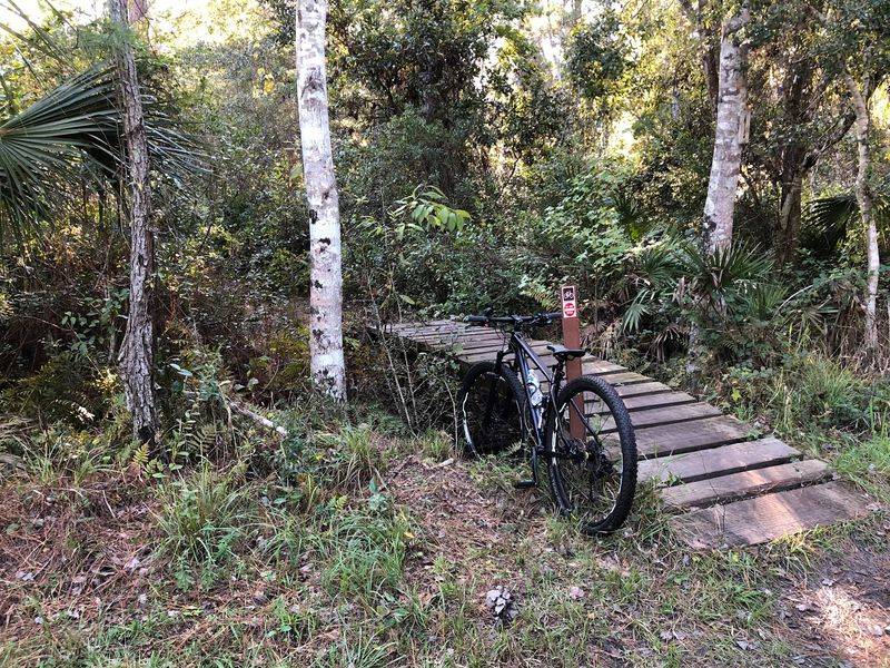 Mountain Biking Adventures Off the Main Path