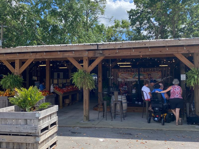 A Gift Shop Full of Florida Finds and Unique Treats