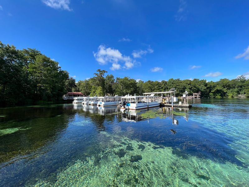 Edward Ball Wakulla Springs State Park (Wakulla Springs)