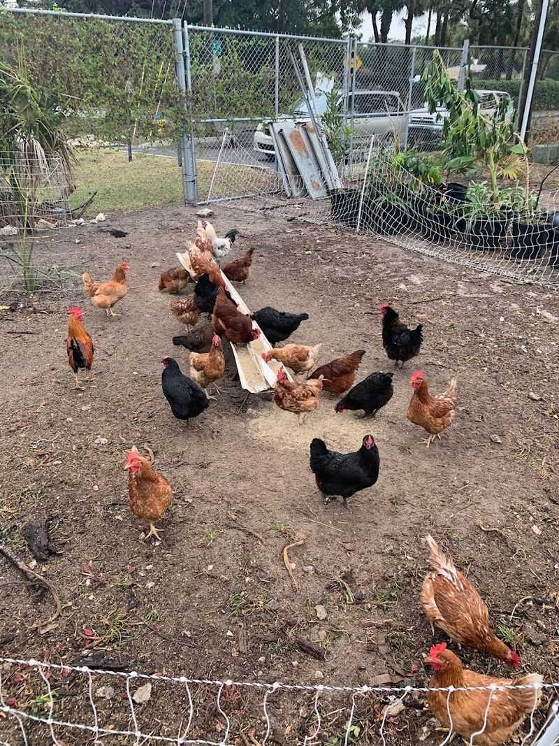 Premium Prices Reflect Real Farming Costs