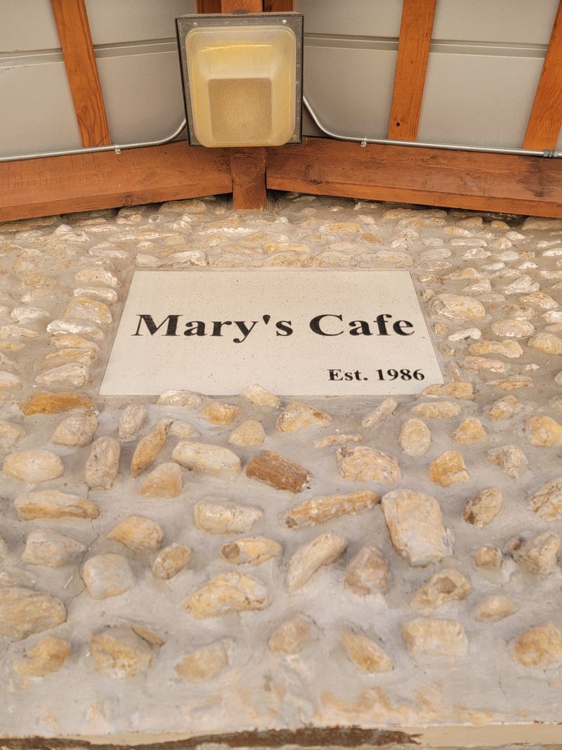 Beef Enchiladas Plate with Onions