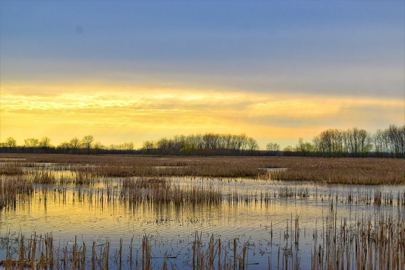 Killdeer Plains Wildlife Area, Harpster, Ohio