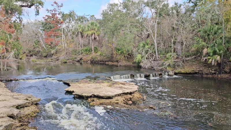 Steinhatchee Falls — Steinhatchee (North Florida)