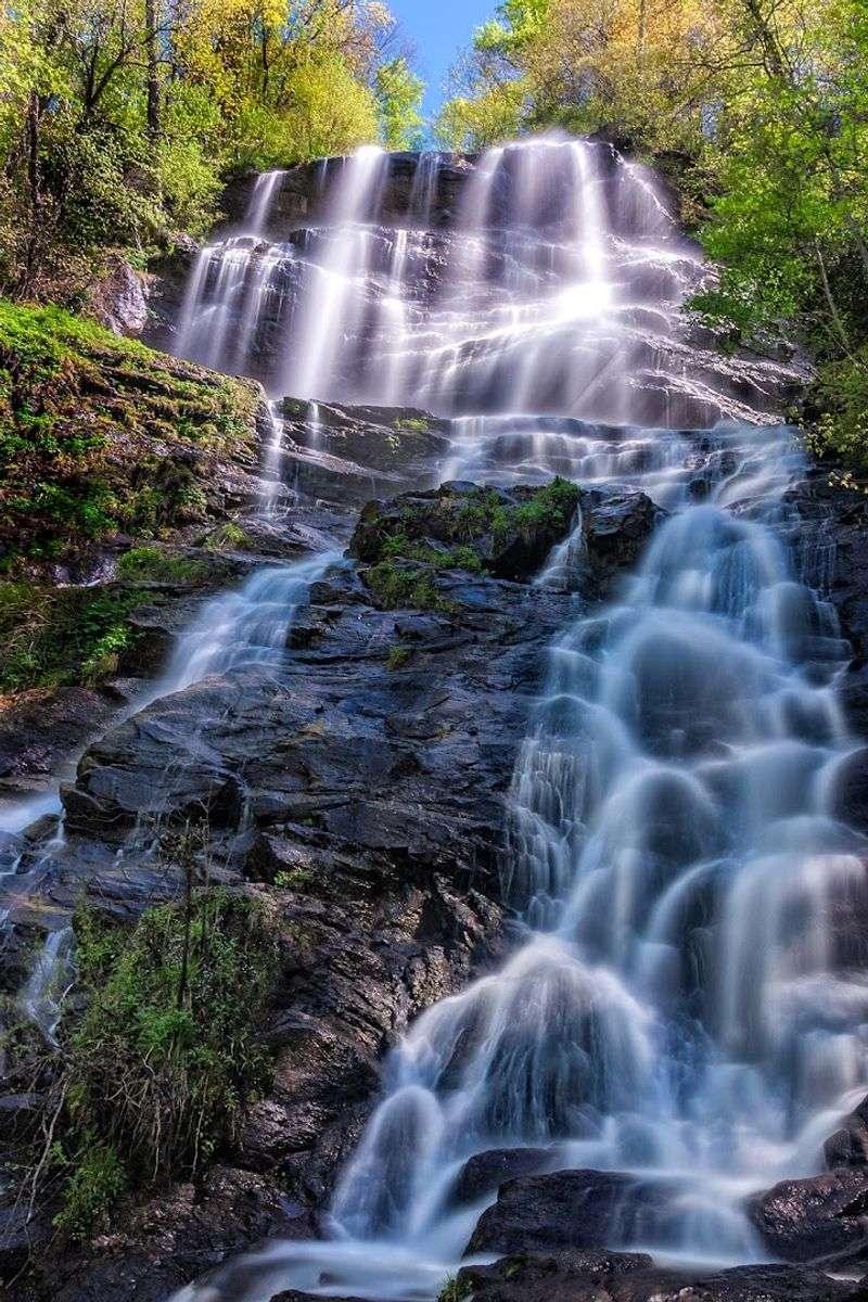 Amicalola Falls Loop Trail
