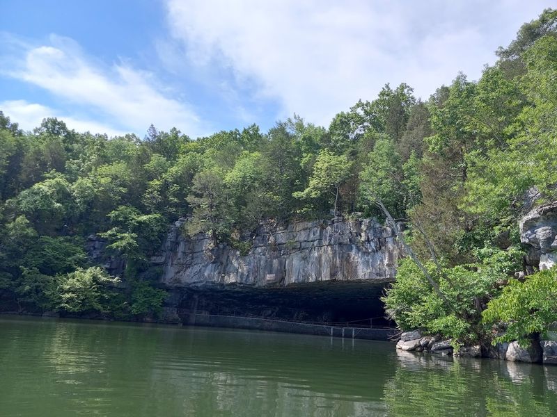 A Safe Haven for the Endangered Gray Bat