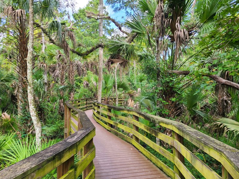 What to Know Before You Hit the Black Bear Wilderness Trailhead