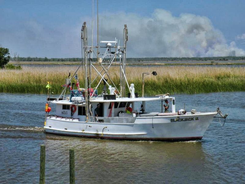 World-Famous Oysters and Fresh Seafood Daily