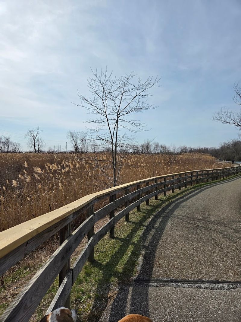 Easygoing Hikes With Lakeside Views