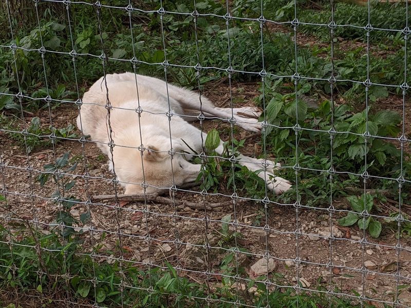 Plan Your Visit: Address, Booking, And Logistics