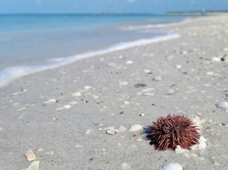 Wildlife Encounters You Won't Forget