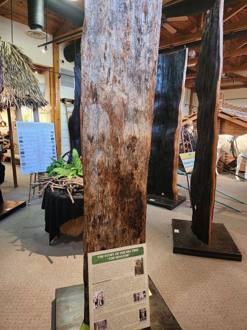 Exhibits That Cover the Real Central Florida Story