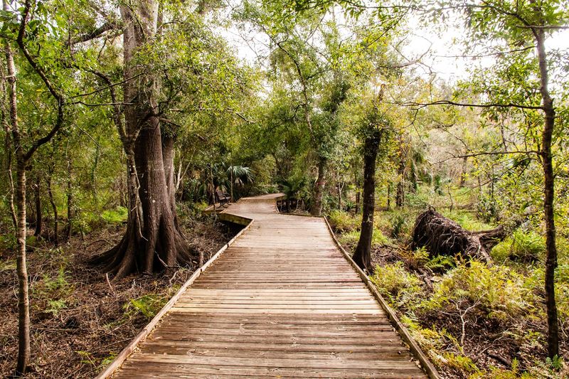 Lake Lotus Park — Altamonte Springs