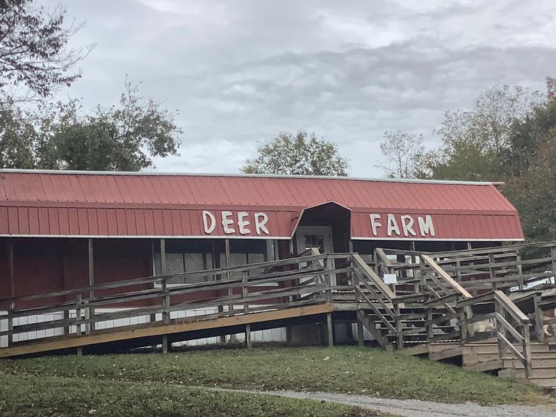 Where to Find Smoky Mountain Deer Farm and Exotic Petting Zoo in Tennessee