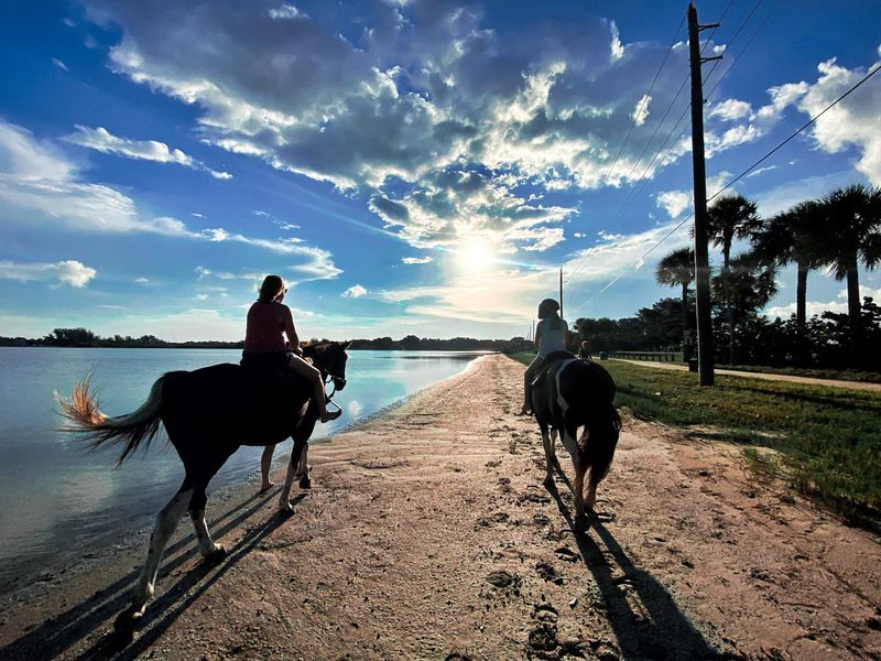 Galloping Down the Shoreline
