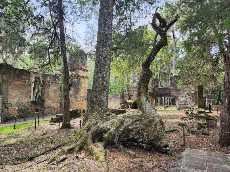 Historic Ruins Hidden in the Forest