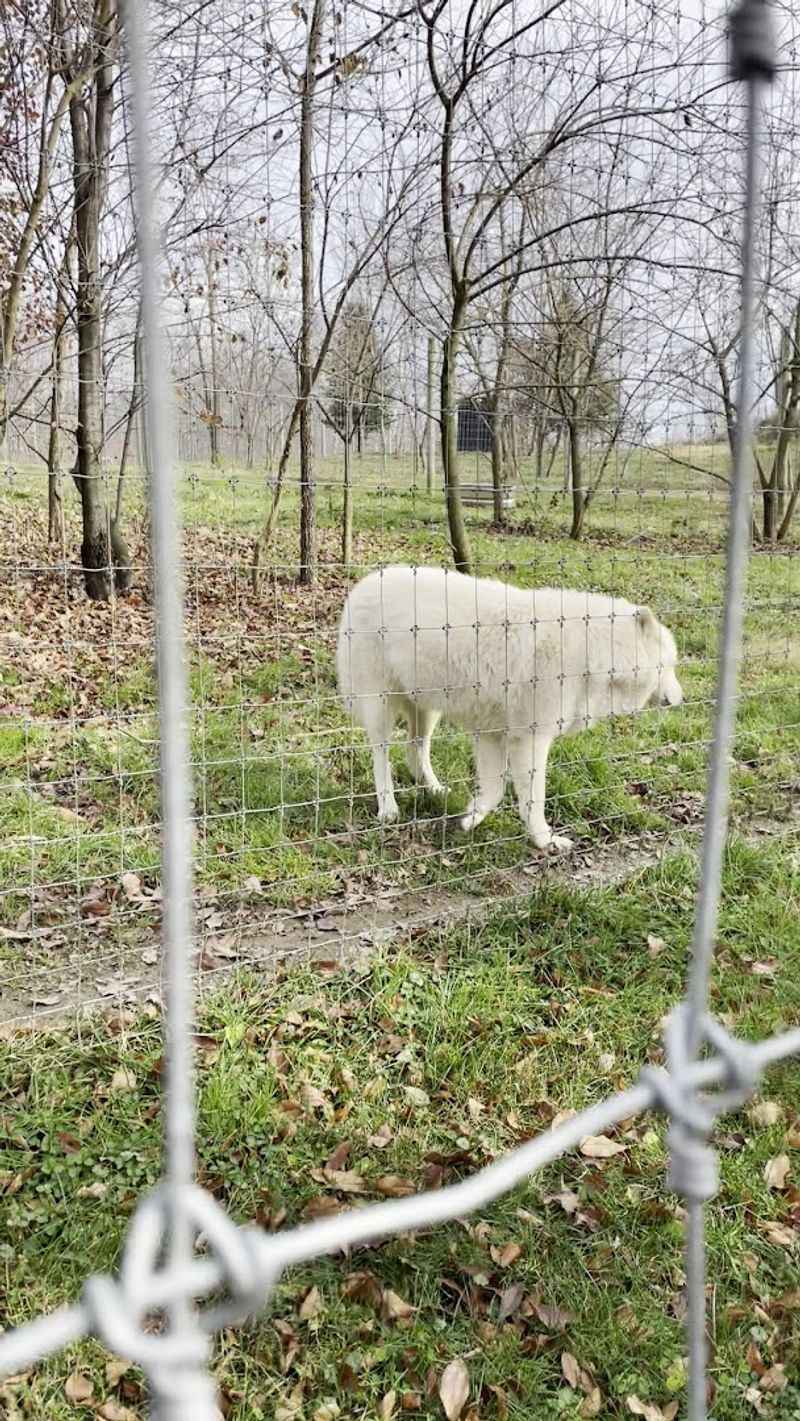 Accessibility, Footing, And Group Size Tips