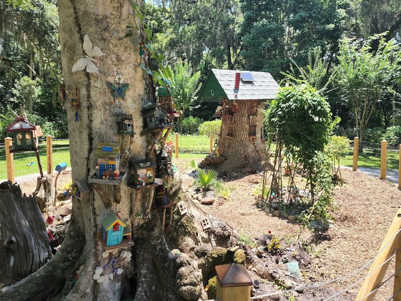 Hidden Gnome Village Delights Sharp-Eyed Visitors