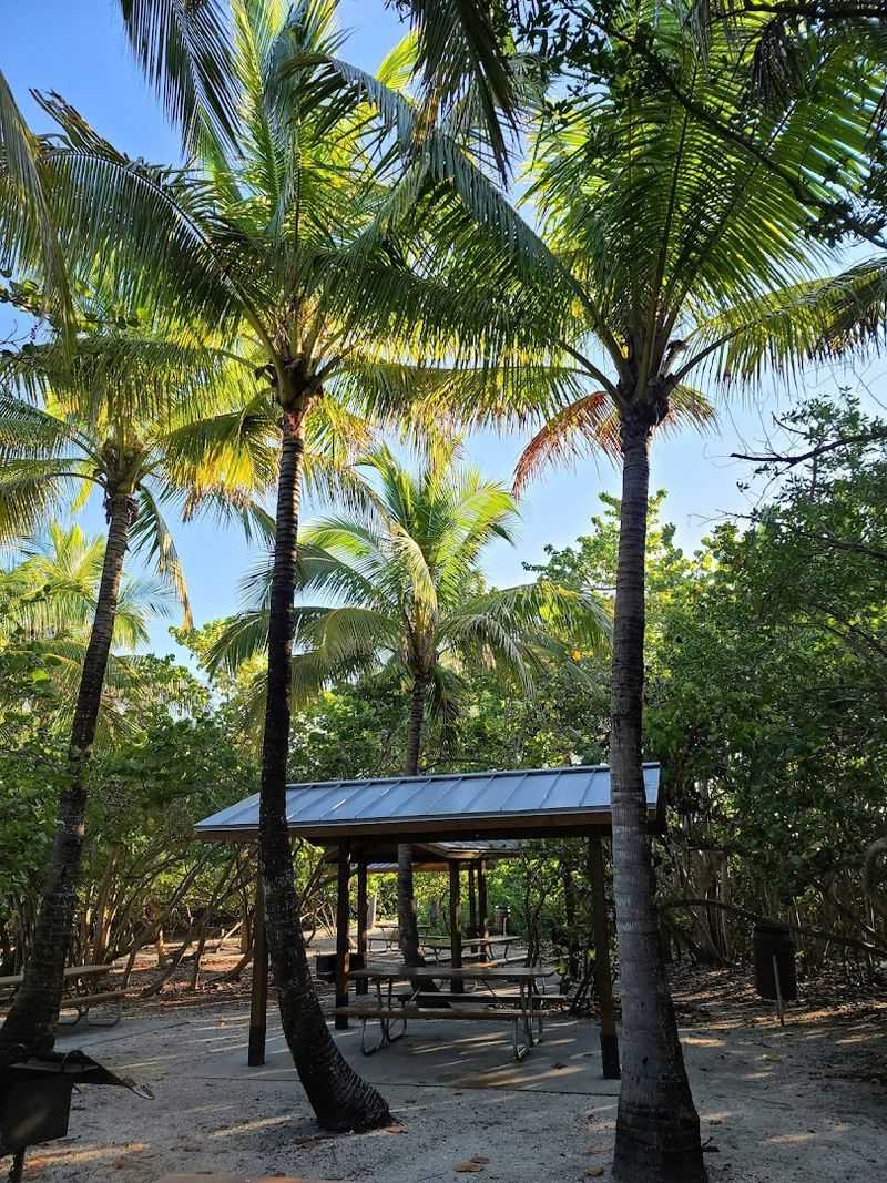 Picnic Pavilions, Grills, and a Full Day Done Right