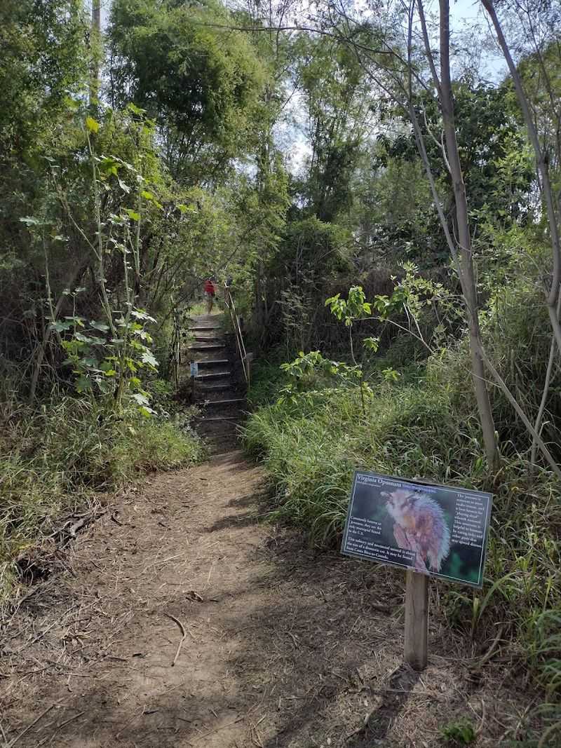 Trails That Wind Through Wild Texas