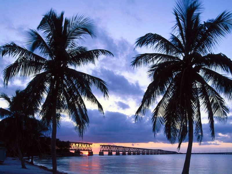 Camping Under the Stars at Bahia Honda
