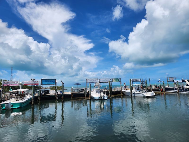 Keys Fisheries (Marathon)