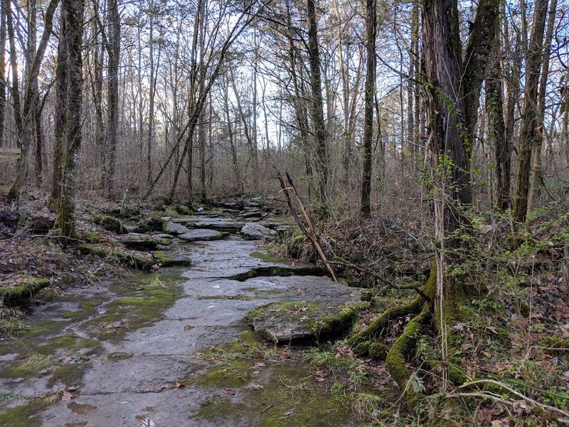 The Rare Cedar Glades That Make This Park So Unique