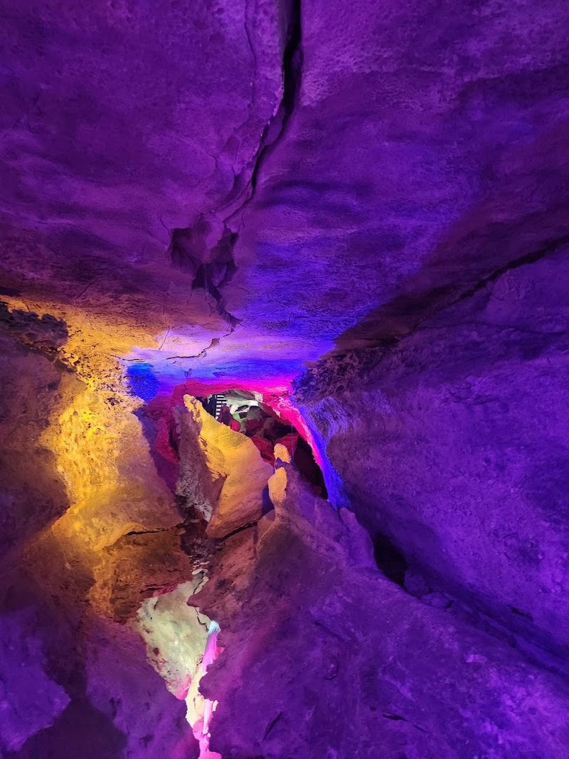 Field Trip Destination That Actually Works