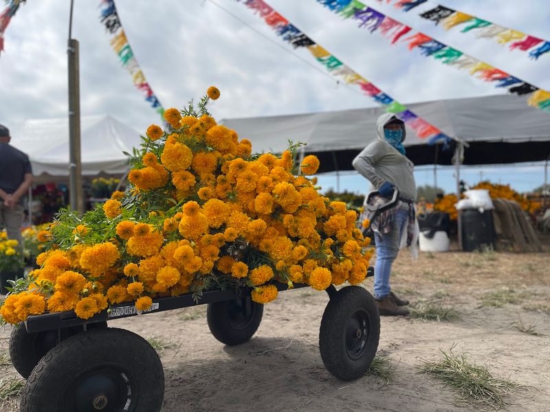 Your Arms Might Not Be Big Enough For These Bouquets