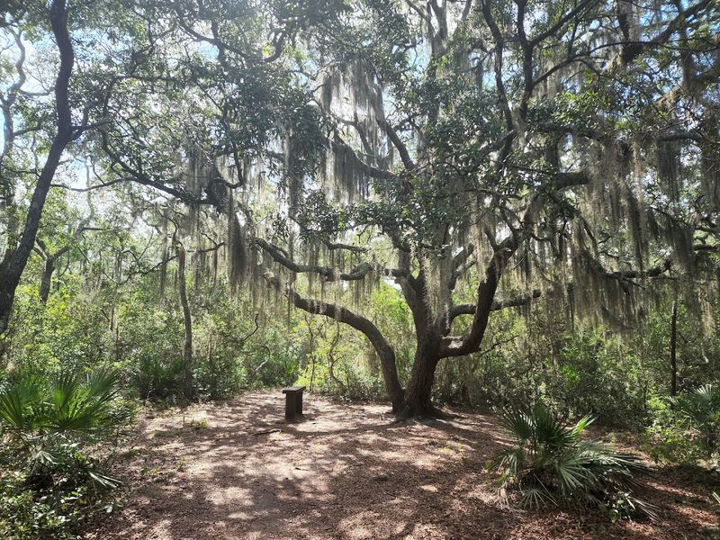 Wildlife and Nature: What's Living Along the Trail