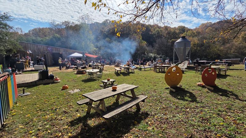 Open farm days bring the community together