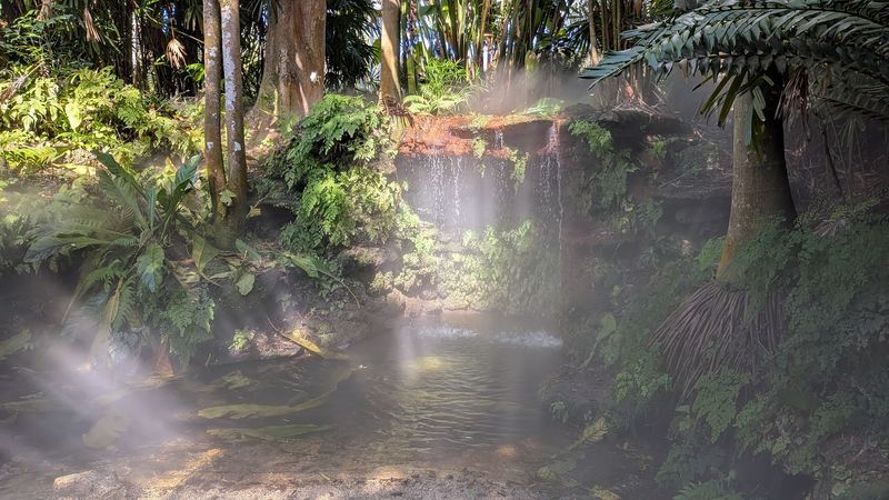 Tropical Rainforest, Water Features, and Hammock Trails