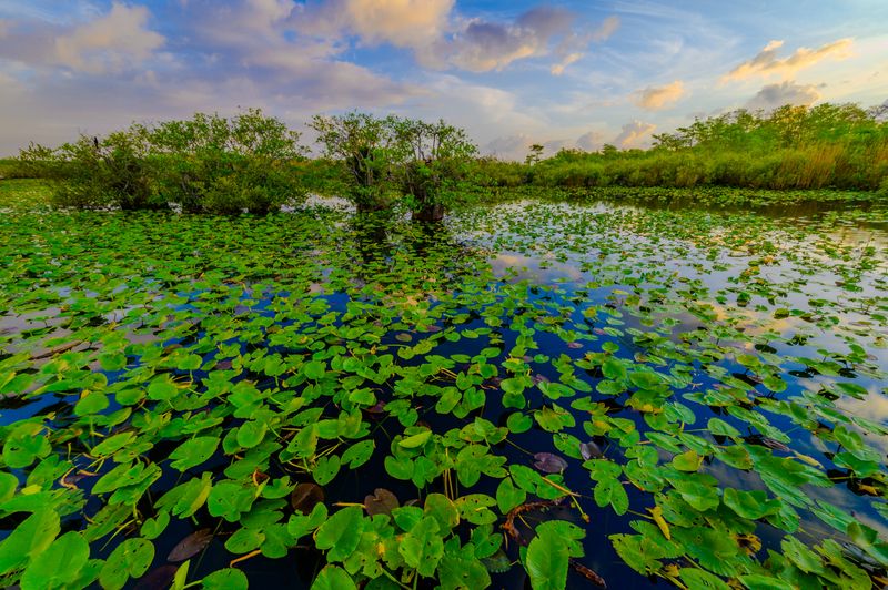 Everglades National Park