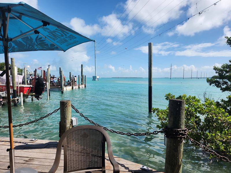 Hungry Tarpon at Robbie's Marina (Islamorada)