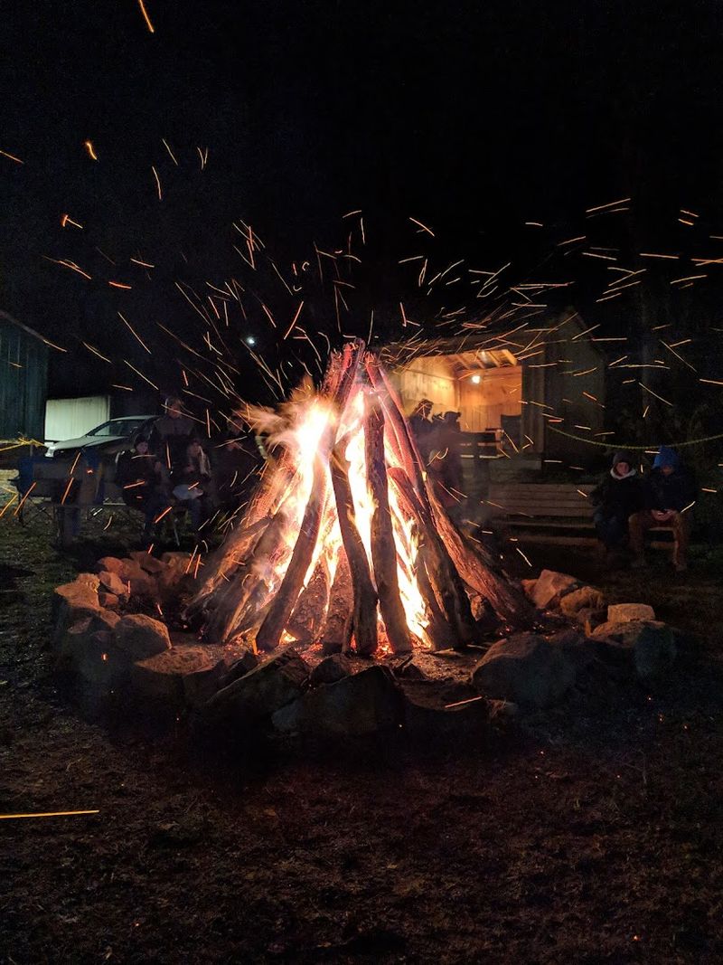 Full Moon Nights: After-Dark Magic