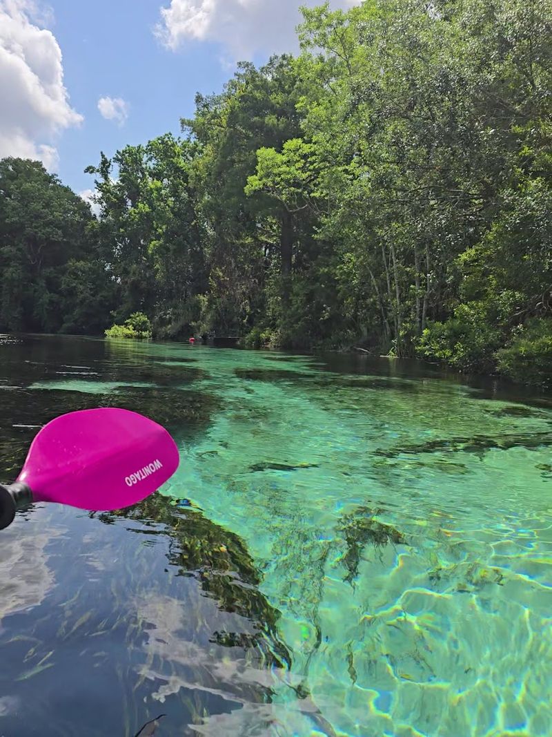 Weeki Wachee River