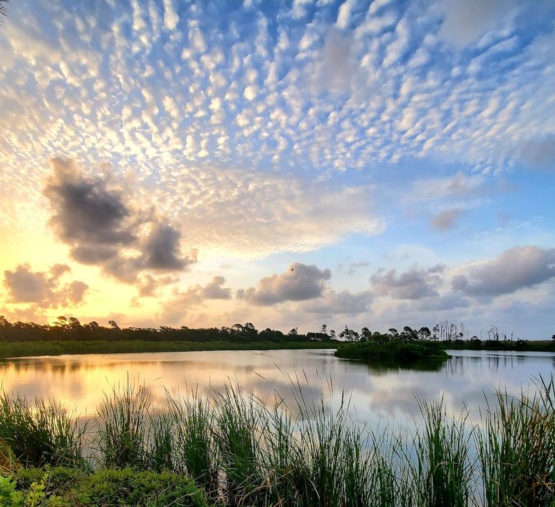 Full-Hookup Camping with Lagoon Views