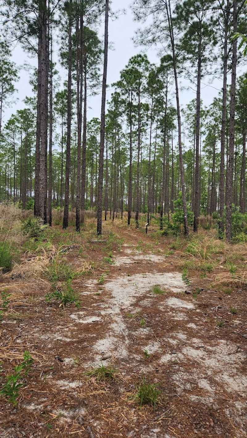 A Trail Made for Families