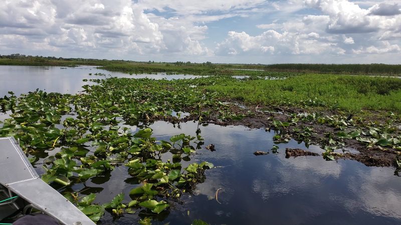 World-Class Bass Fishing That Lives Up to the Hype
