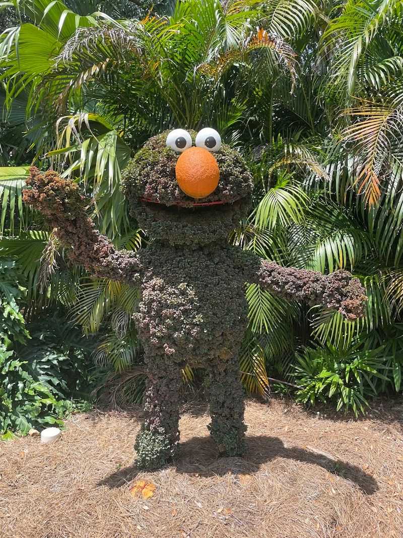 Sesame Street Safari of Fun