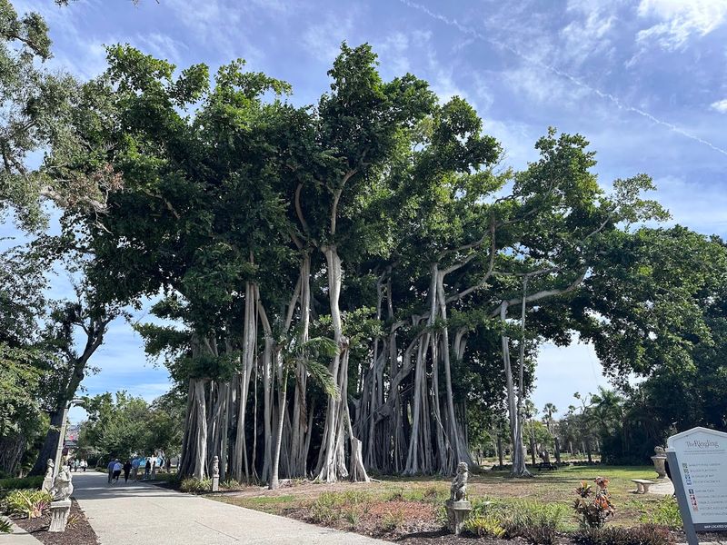 Bayfront Gardens and Banyan Avenues