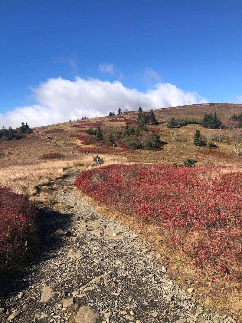 Tips to Know Before Visiting Carvers Gap Trailhead in Tennessee