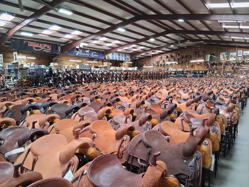 Rows Upon Rows of Saddles That'll Make Your Head Spin